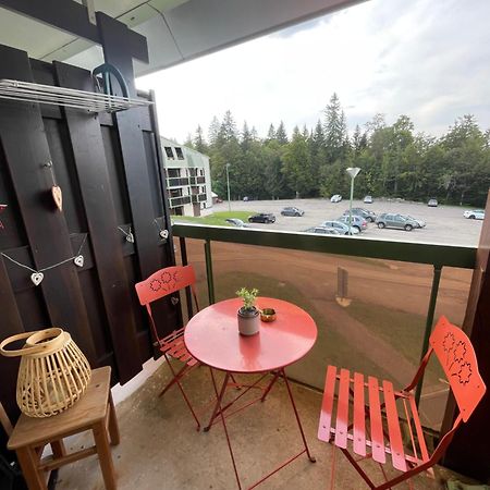 Chaleureux Studio Montagnard Avec Balcon 2303 Prémanon 外观 照片